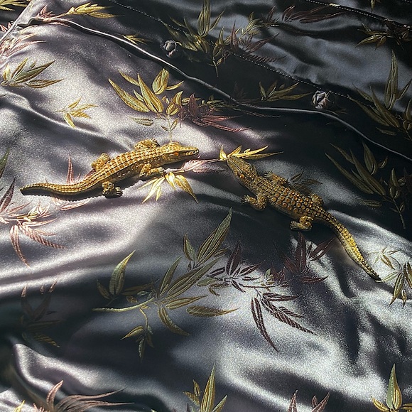 Suite 109 Bamboo Brocade king pillowcases ~ NWOT - Picture 2 of 14